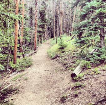 20198_10200293297046871_1611297745_n (2)